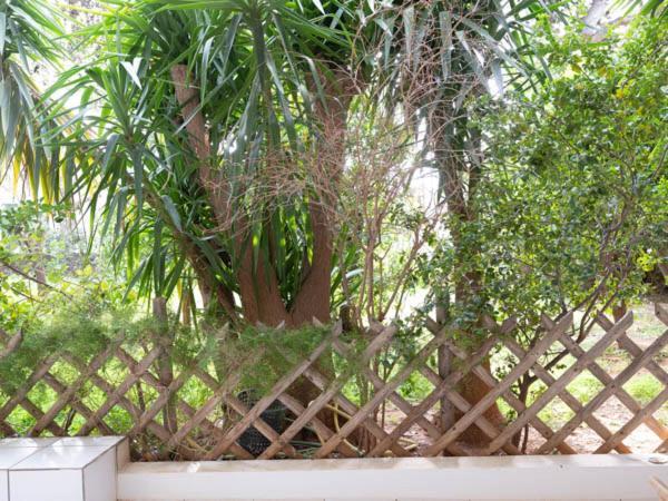 Vouliagmeni'S Secret Garden Near The Sea Atenas Exterior foto